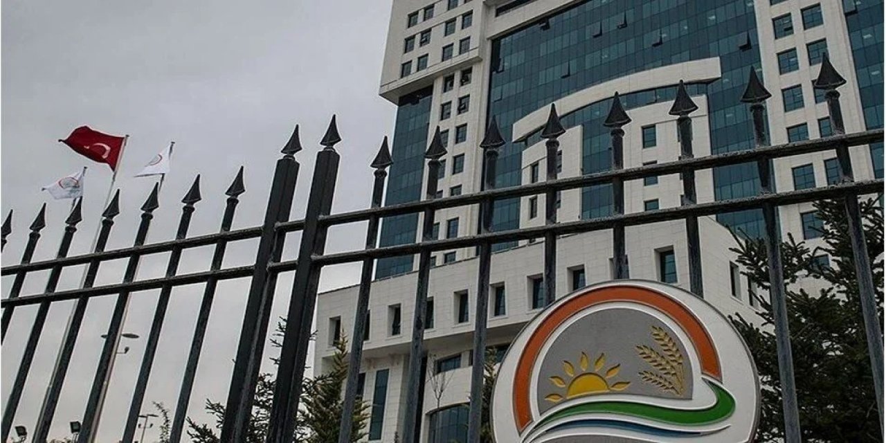 Ehliyeti Olanlar Dikkat: Tarım ve Orman Bakanlığı 81 İlde Şoför Alımı Yapıyor! Başvuru Şartları ve Kadro Detayları