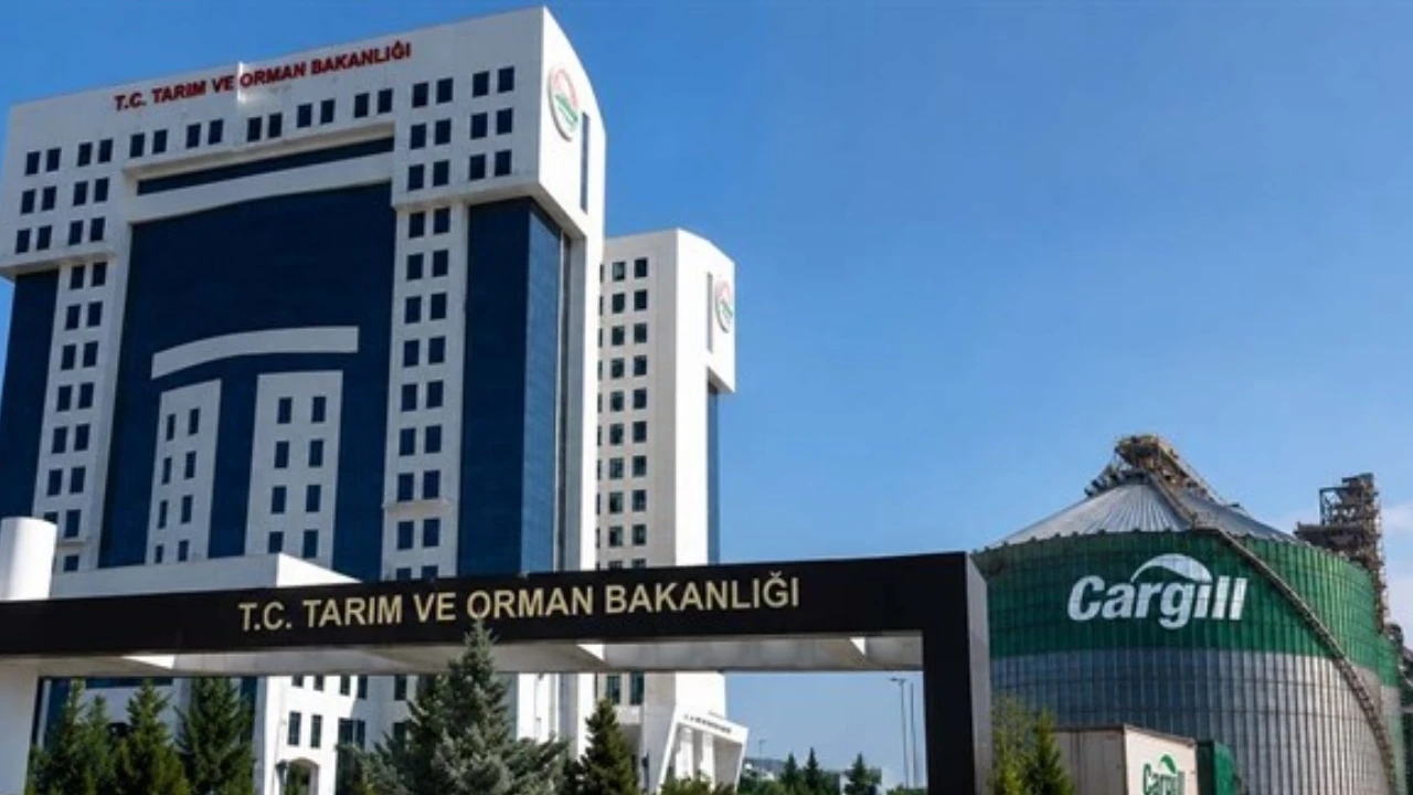 Tarım ve Orman Bakanlığı 1874 Personel Alımı Müjdesi: Kadro Dağılımı ve Başvuru Detayları Açıklandı!