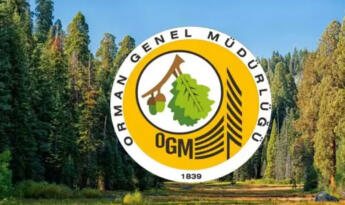 Orman Genel Müdürlüğü (OGM) 340 İşçi Alımı Yapıyor: Kadro Dağılımı, Başvuru Şartları ve Kura Detayları