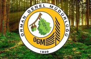 OGM 41 Personel Alımı Yapacak: Ön Lisans ve Lisans Mezunlarına Memur Kadrosu Açıldı!