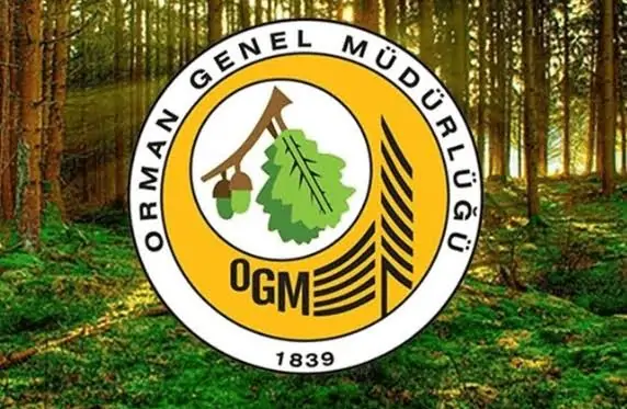 OGM 41 Personel Alımı Yapacak: Ön Lisans ve Lisans Mezunlarına Memur Kadrosu Açıldı!