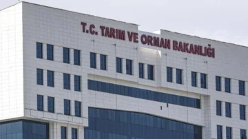 Tarım ve Orman Bakanlığı’ndan Yeni Personel Alımı İlanı ve Başvuru Süreci Başladı!